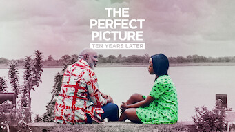 The Perfect Picture: Ten Years Later